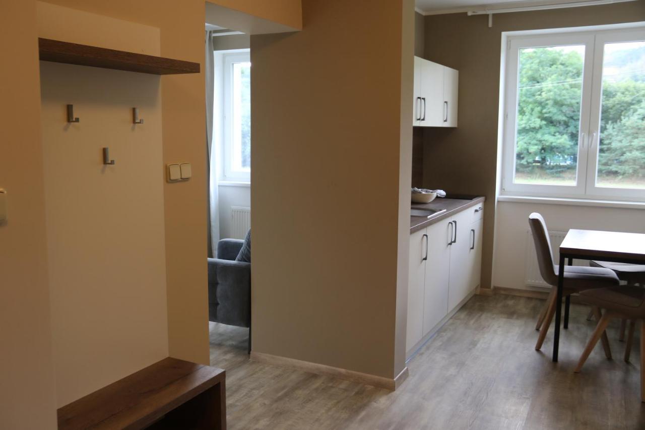 Apartmany Lama ฮราเดซ นาด โมราวิซี ภายนอก รูปภาพ